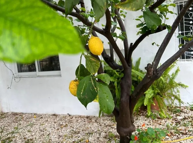 Feriehus Avra House Limassol