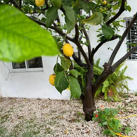 Ferienhaus Avra House Limassol
