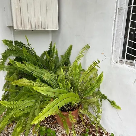 Ferienhaus Avra House Limassol